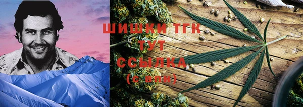 твердый Новодвинск