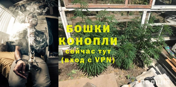 твердый Новодвинск