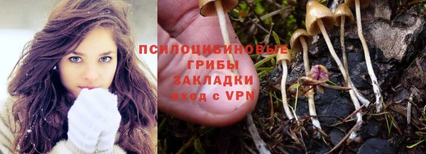 МДПВ Новокубанск