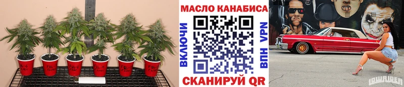 купить наркотики сайты  Гулькевичи  ТГК Wax 